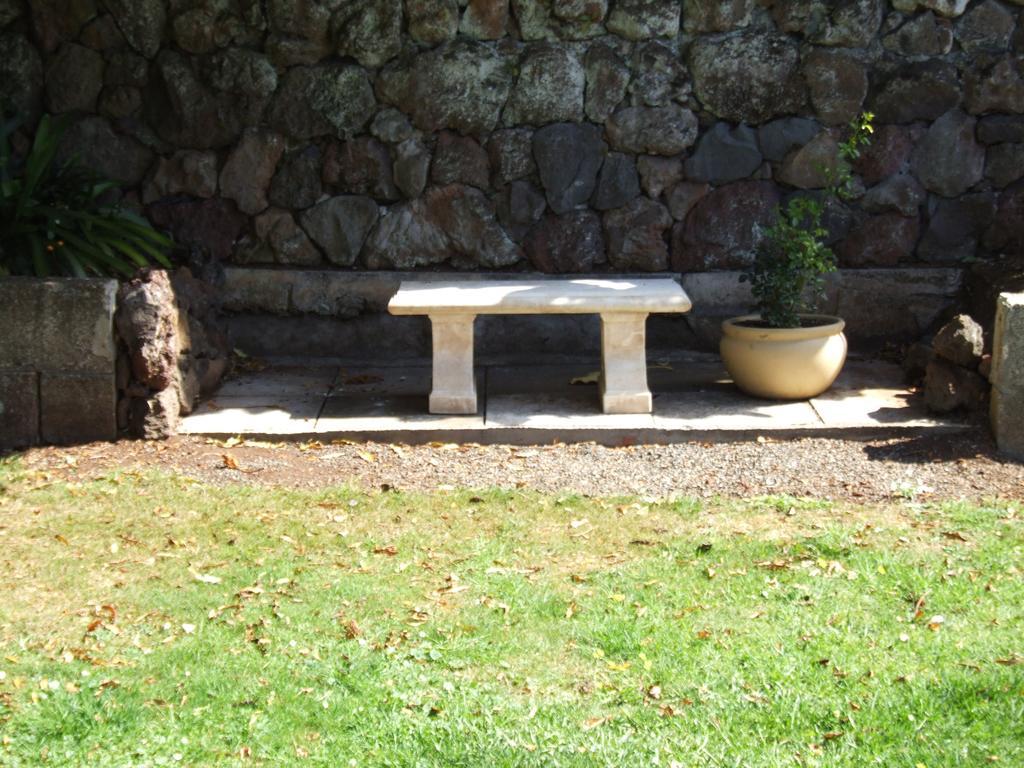 Bed and Breakfast The Quiet Quarter Auckland Exterior foto